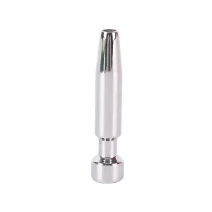 Bling a Penis Ding Dong 2 Plug