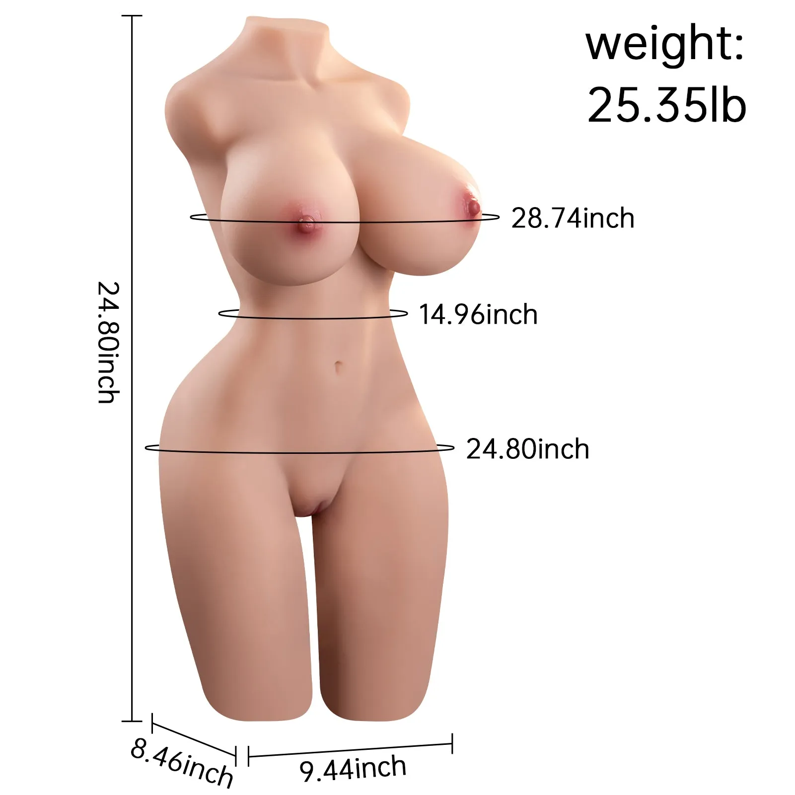 Gardenia(For EU Customers): 25.35lb Sex Doll Torso for Men with Big Boobs