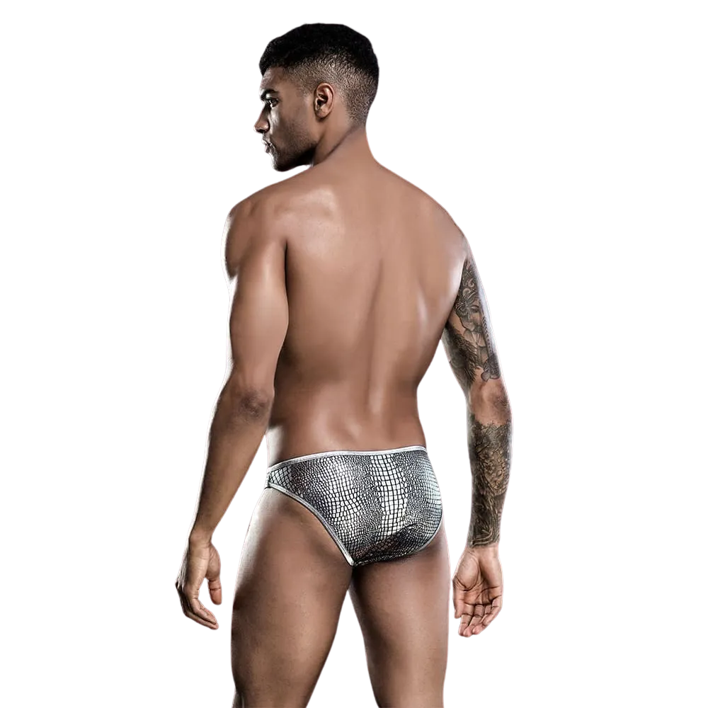 Male Power Silver Exotic  | Briefs | One Size