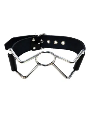 Rouge Leather Spider Gag