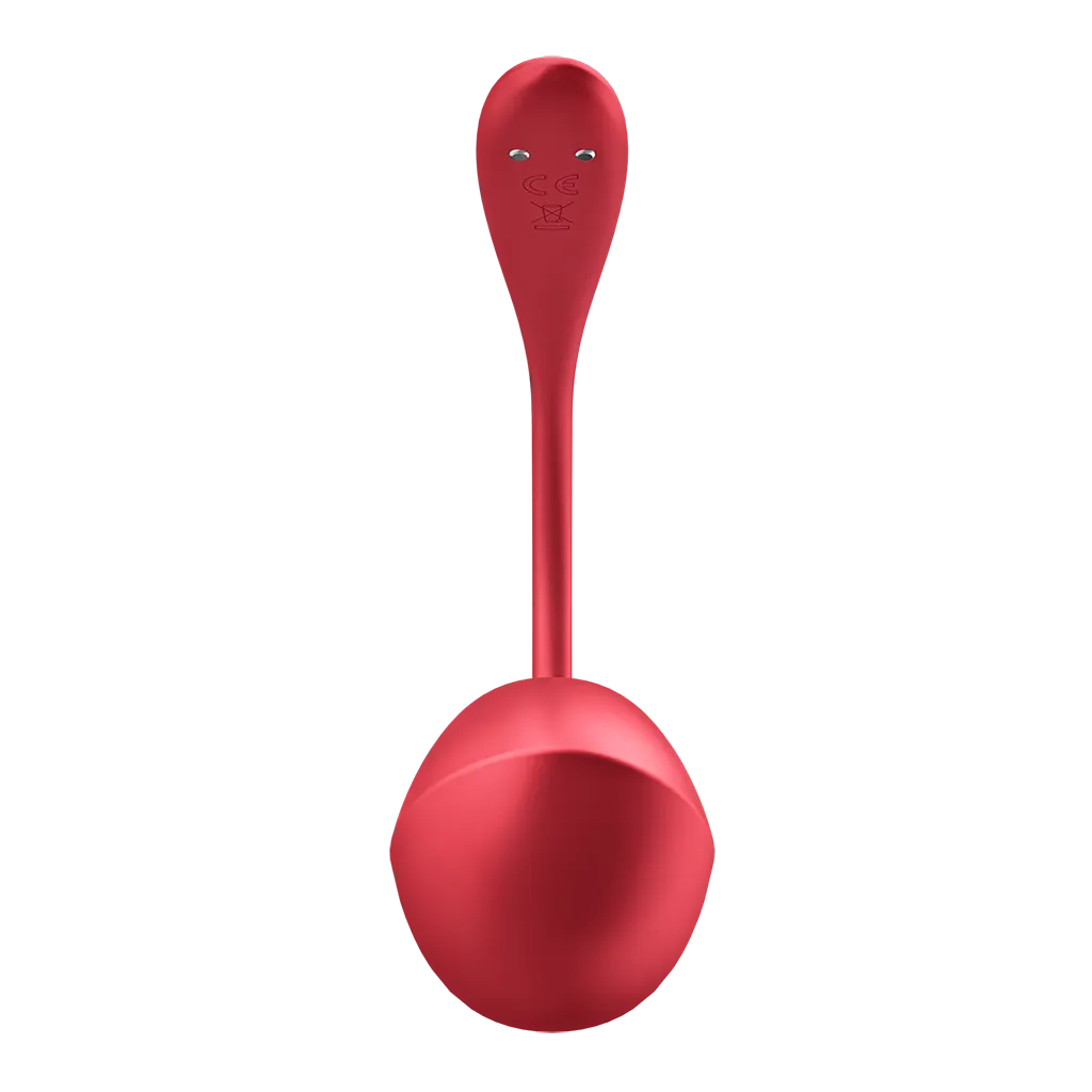 Satisfyer Shiny Petal Connect App