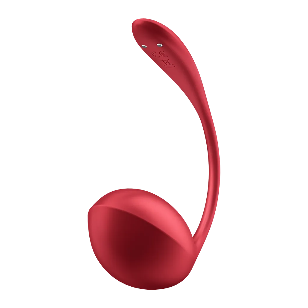 Satisfyer Shiny Petal Connect App
