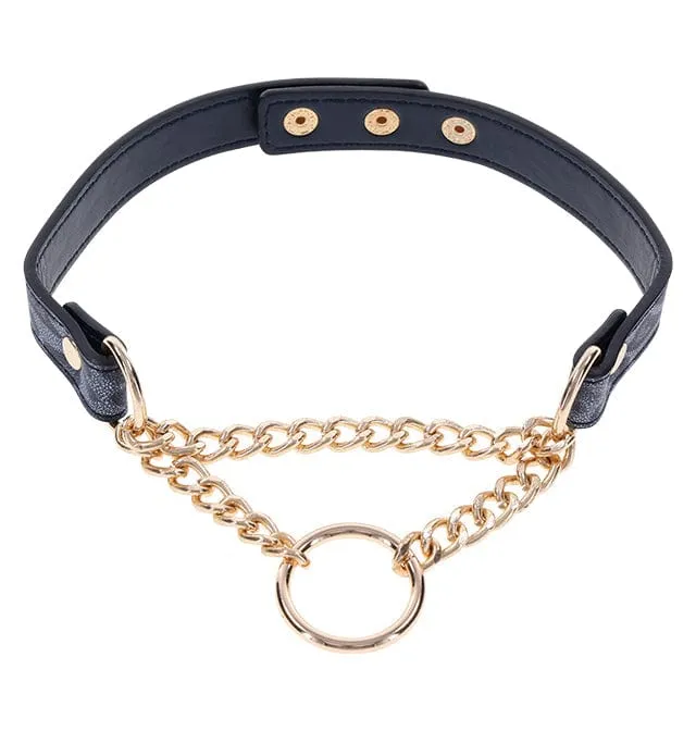 Sportsheets Sex & Mischief Cougar Day Collar